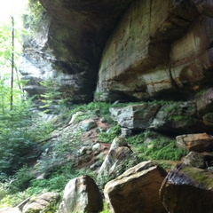 Sheltowee Trace, Red River Gorge